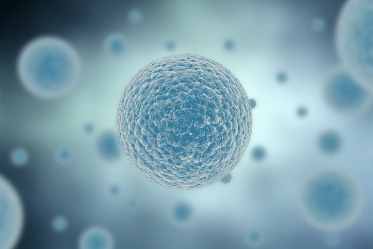 cell