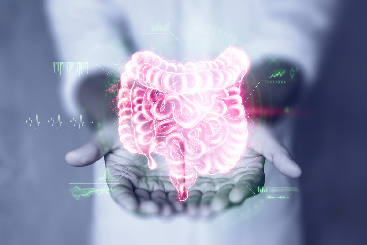 intestine