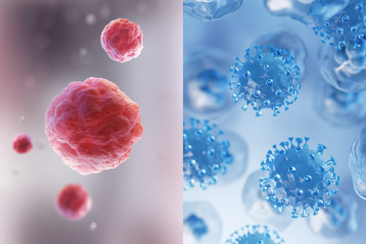 How Meal Suppressants Affect Gut Health
